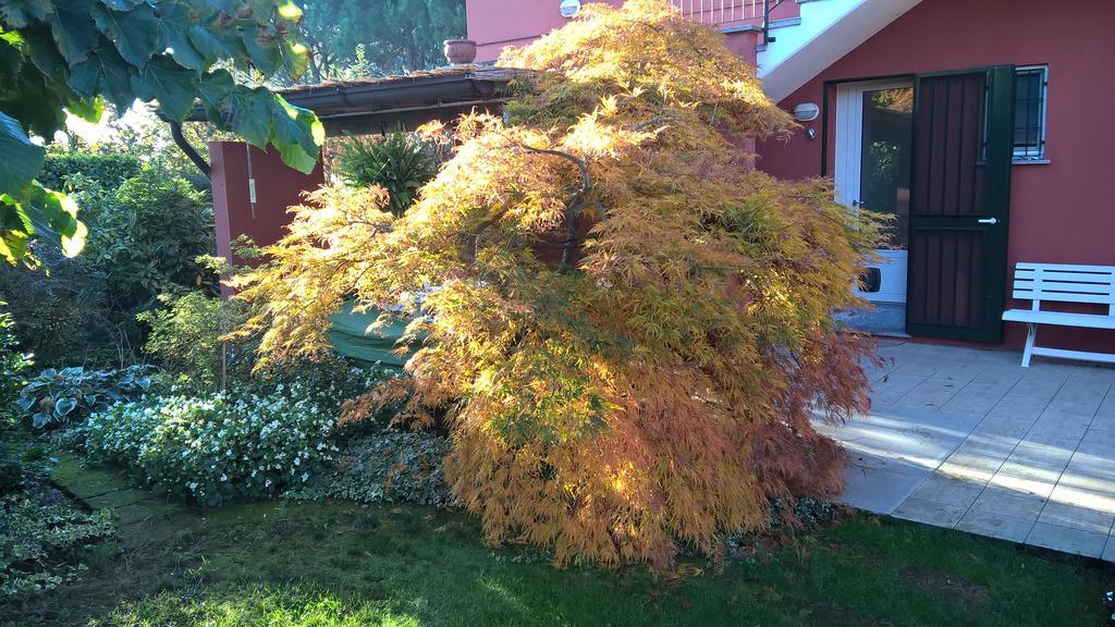 La Collina Since 2008 No Smoking B&B Varese Exterior foto